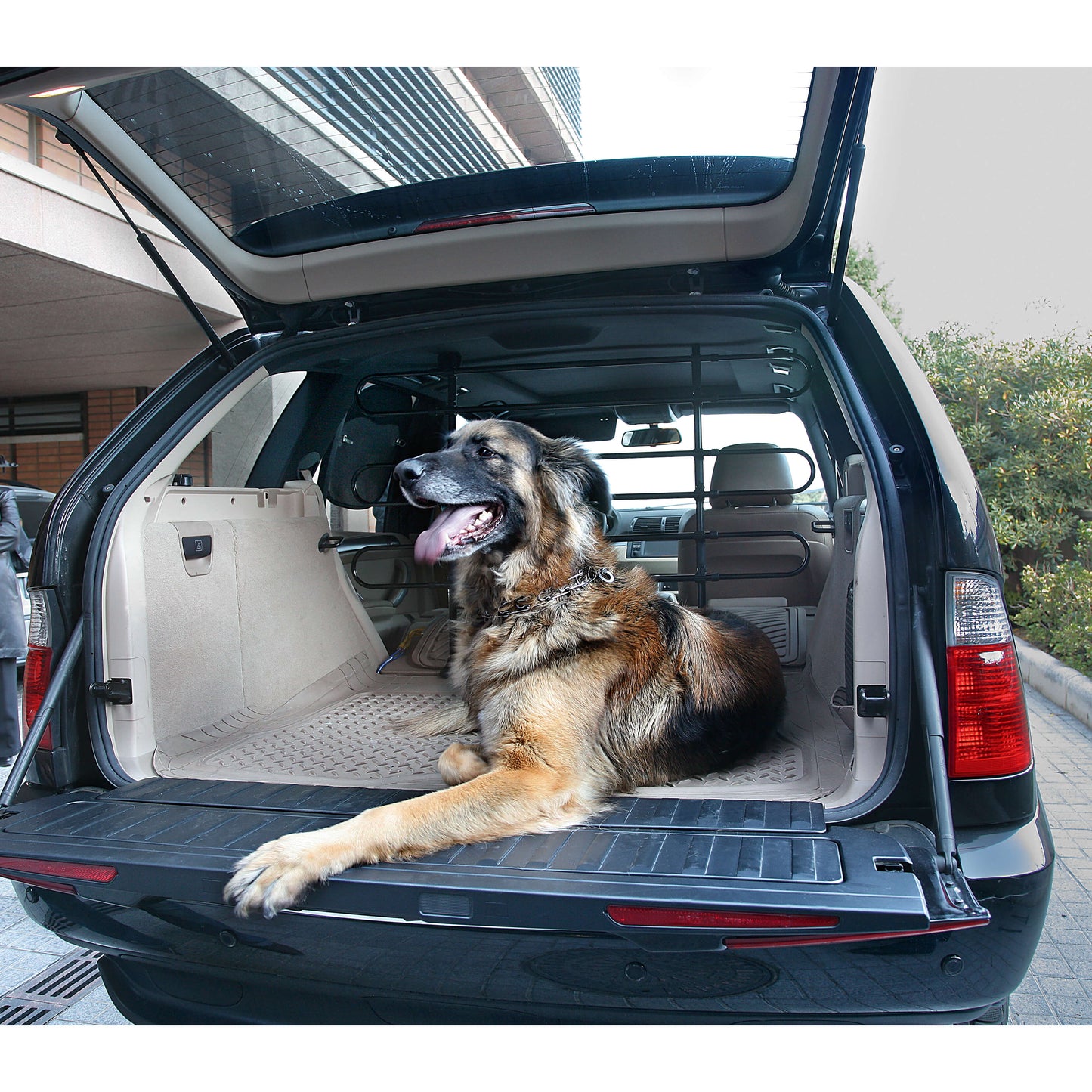 Grelha divisória Metálica de Segurança para PETS Automóvel CAR +