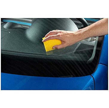 Esponja para Remover Insetos LIQUI MOLY 1 Und