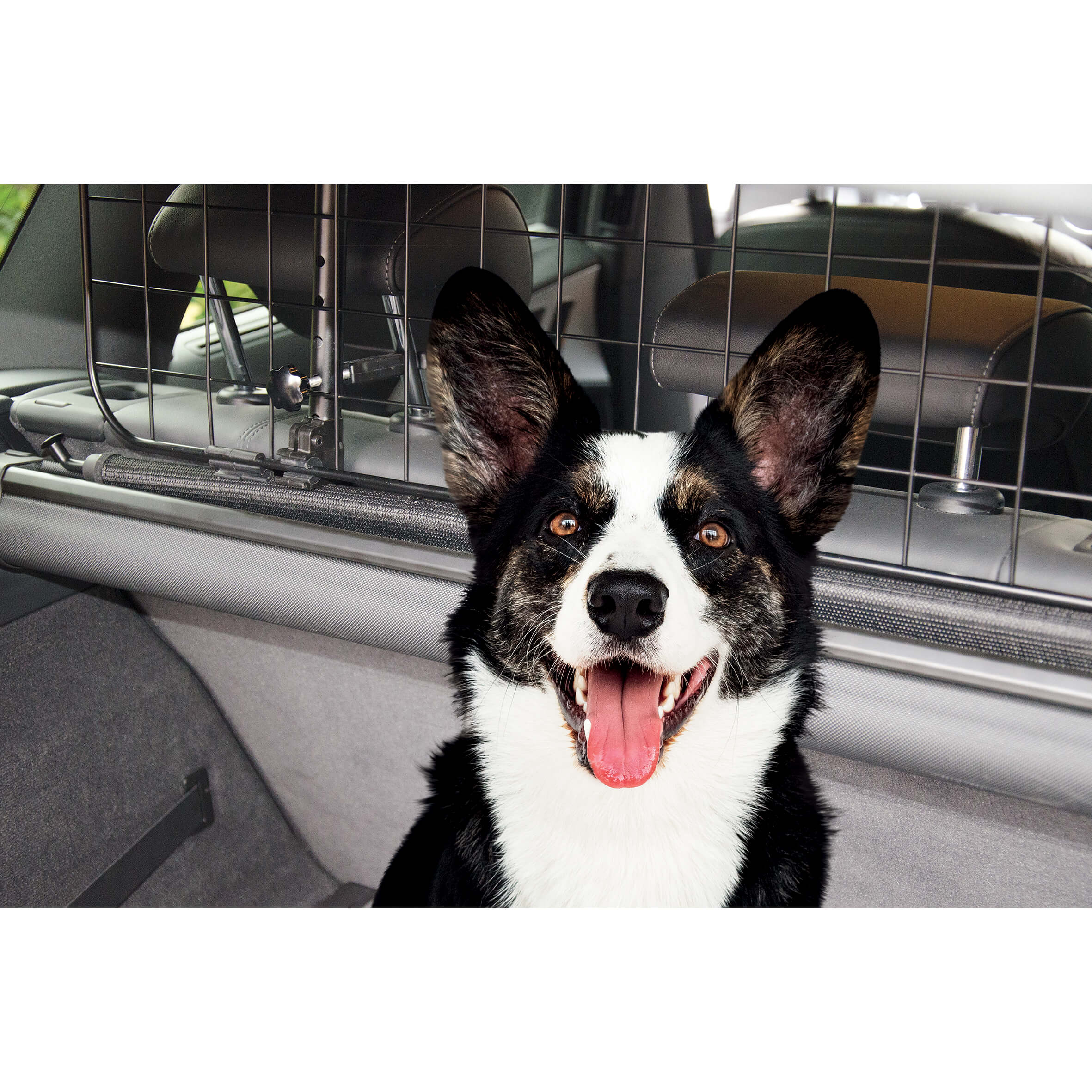 Grelha divisória Metálica Extensível de Segurança para PETS Automóvel SWISS DRIVE