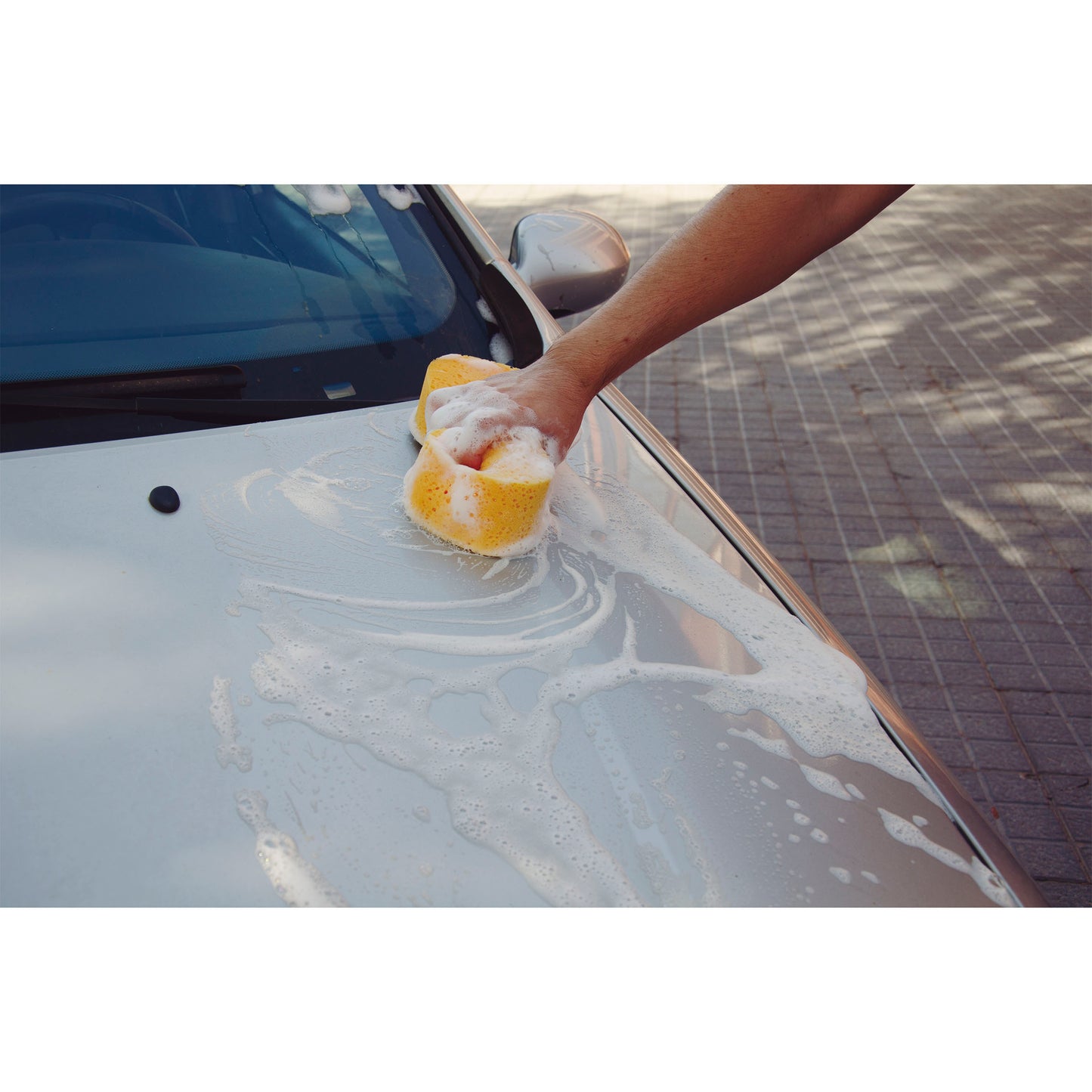 Esponja Lavagem BILLIONAIRE 1 Und