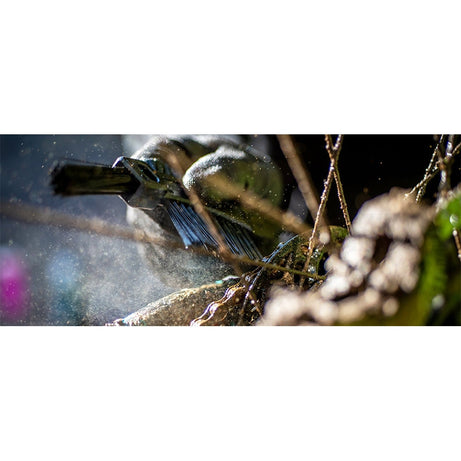 Escova de Limpeza Transmissão Muc- off 3 em 1